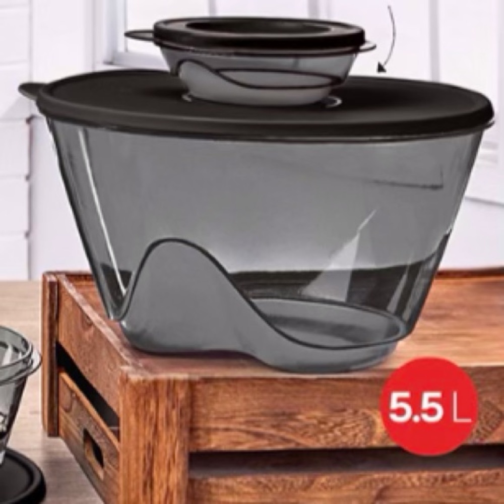 Tupperware Novel Bowl  Set of 2